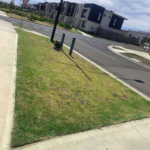 Image 14 Nature Strip