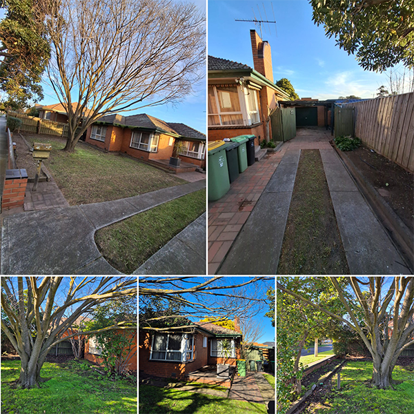 Image 11 Various Views