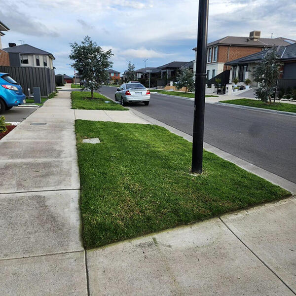 Image 1 Nature Strip Image 1 Nature Strip