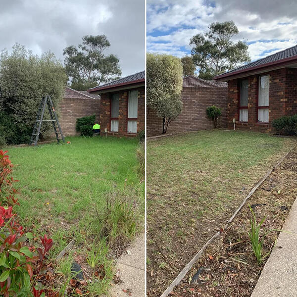 Image 6 House and Lawn